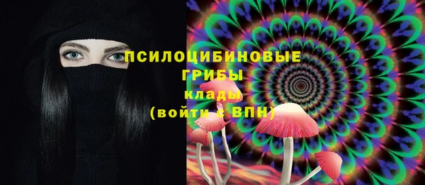 ешки Абаза
