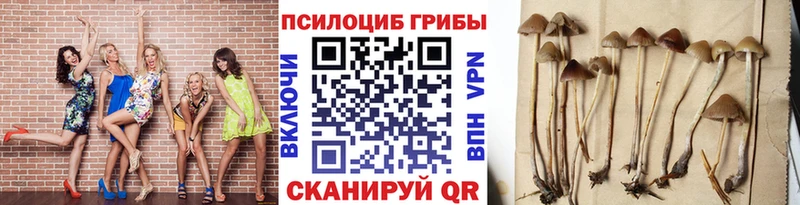 Галлюциногенные грибы мухоморы  Карасук 